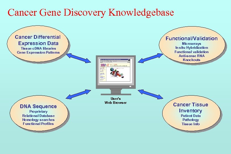 Cancer Gene Discovery Knowledgebase Cancer Differential Expression Data Functional/Validation Microarrays In situ Hybridization Functional