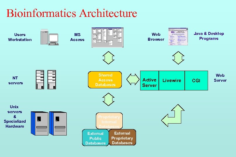 Bioinformatics Architecture Users Workstation NT servers Unix servers & Specialized Hardware Web Browser MS