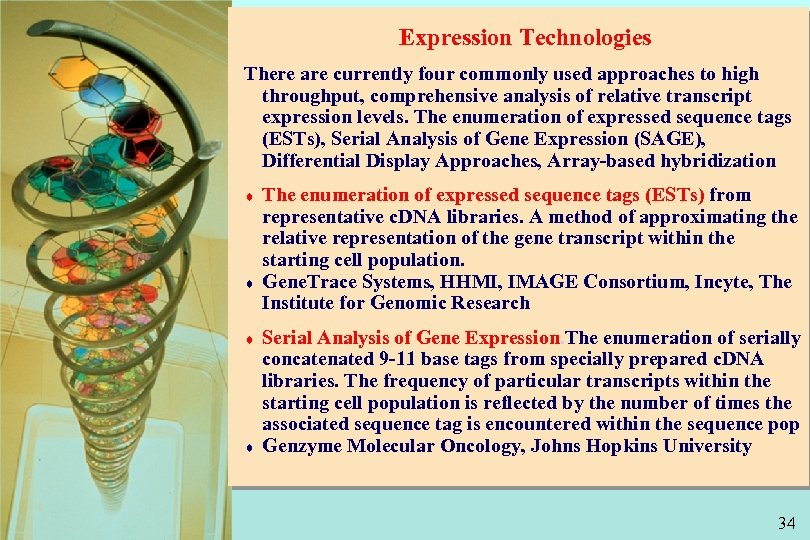 Expression Technologies There are currently four commonly used approaches to high throughput, comprehensive analysis