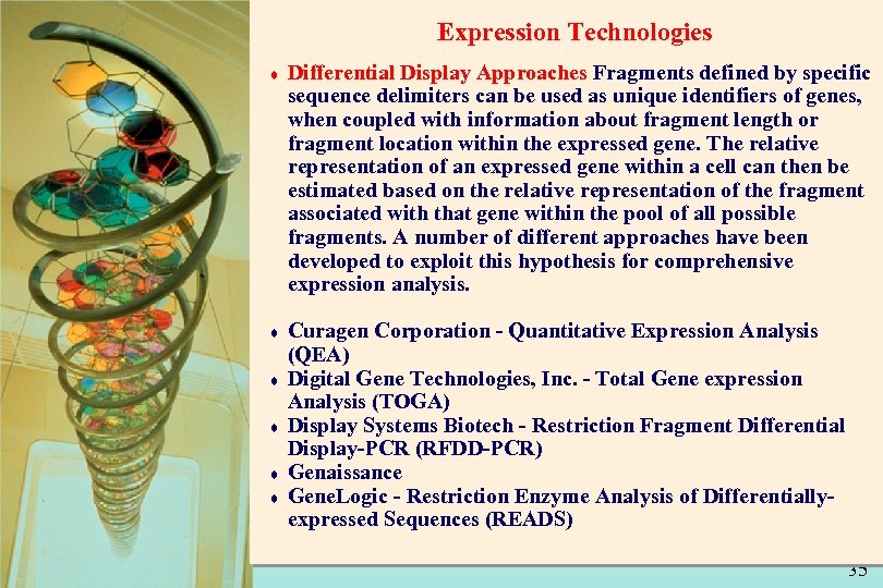 Expression Technologies ¨ Differential Display Approaches Fragments defined by specific sequence delimiters can be