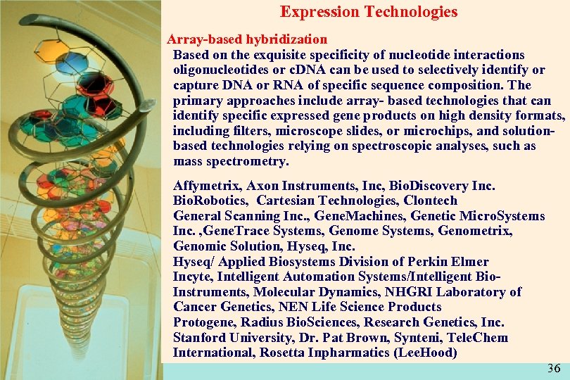 Expression Technologies Array-based hybridization Based on the exquisite specificity of nucleotide interactions oligonucleotides or