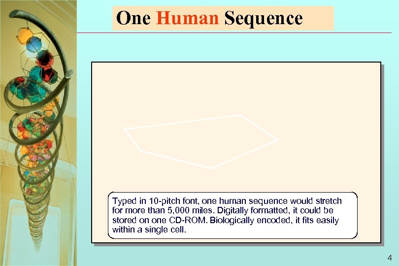 One Human Sequence Typed in 10 -pitch font, one human sequence would stretch for