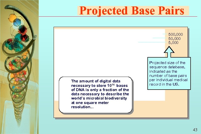 Projected Base Pairs 500, 000 5, 000 The amount of digital data necessary to