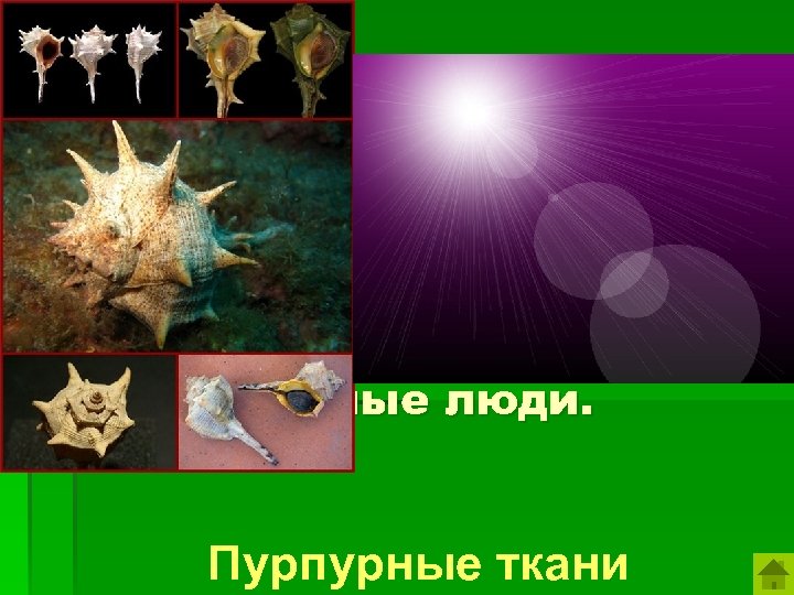 Эти ткани не отгорали на солнце и не линяли при стирке, они стоили очень