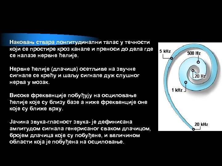 Наковањ ствара лонгитудинални талас у течности који се простире кроз канале и преноси до