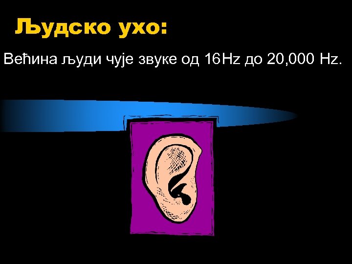 Људско ухо: Већина људи чује звуке од 16 Hz до 20, 000 Hz. 