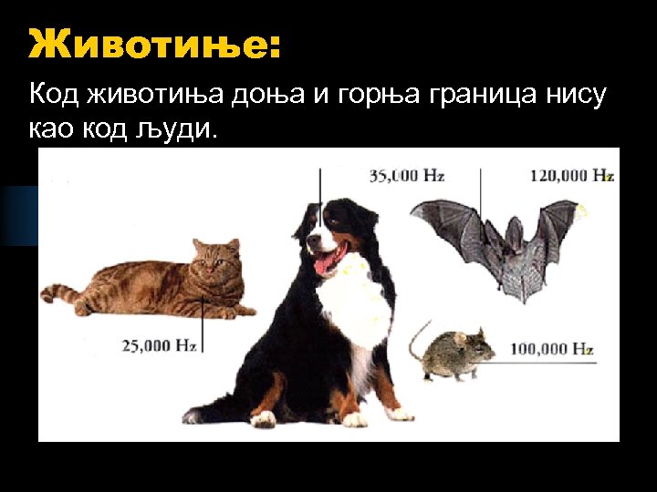 Животиње: Код животиња доња и горња граница нису као код људи. 