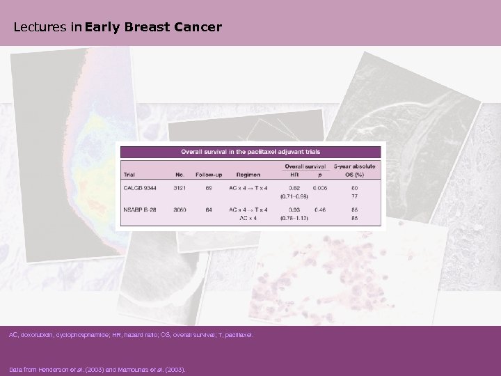 Lectures in Early Breast Cancer AC, doxorubicin, cyclophosphamide; HR, hazard ratio; OS, overall survival;