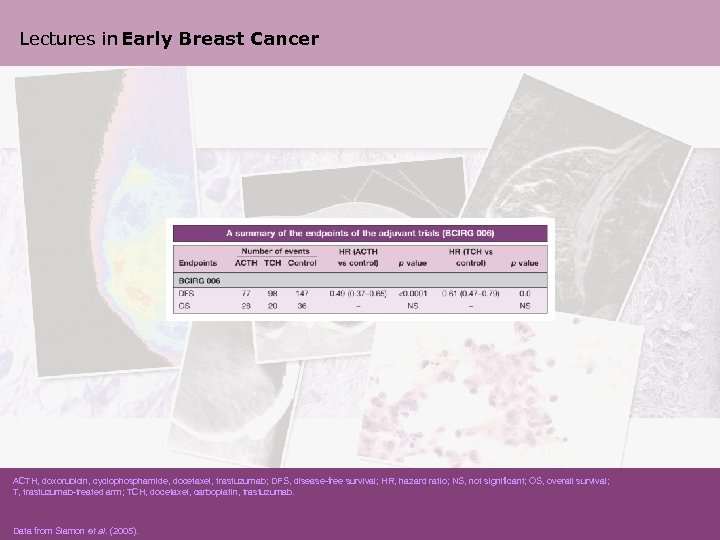 Lectures in Early Breast Cancer ACTH, doxorubicin, cyclophosphamide, docetaxel, trastuzumab; DFS, disease-free survival; HR,