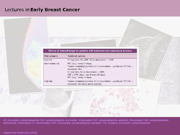 Lectures in Early Breast Cancer AC, doxorubicin, cyclophosphamide; CAF, cyclophosphamide, doxorubicin, 5 -fluorouracil; CEF,