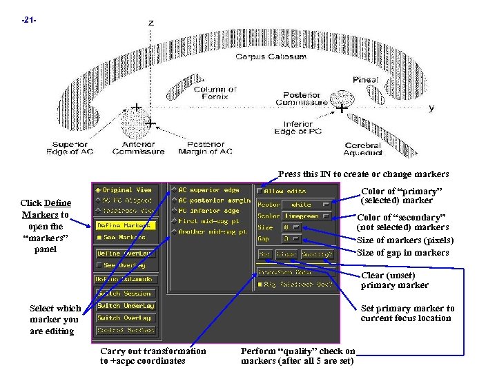 -21 - Press this IN to create or change markers Color of “primary” (selected)