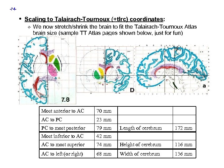 -74 - • Scaling to Talairach-Tournoux (+tlrc) coordinates: We now stretch/shrink the brain to