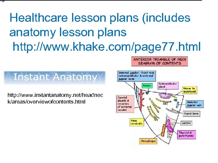 Healthcare lesson plans (includes anatomy lesson plans http: //www. khake. com/page 77. html http: