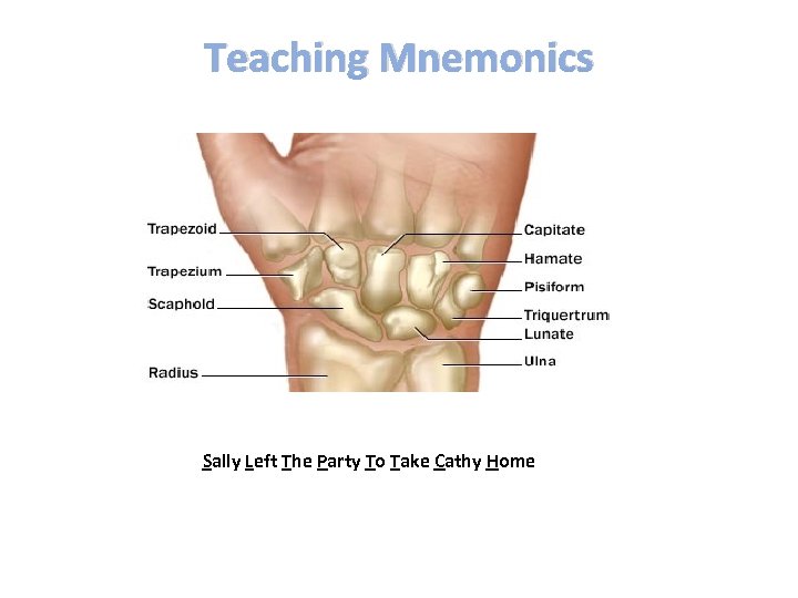 Teaching Mnemonics Sally Left The Party To Take Cathy Home 
