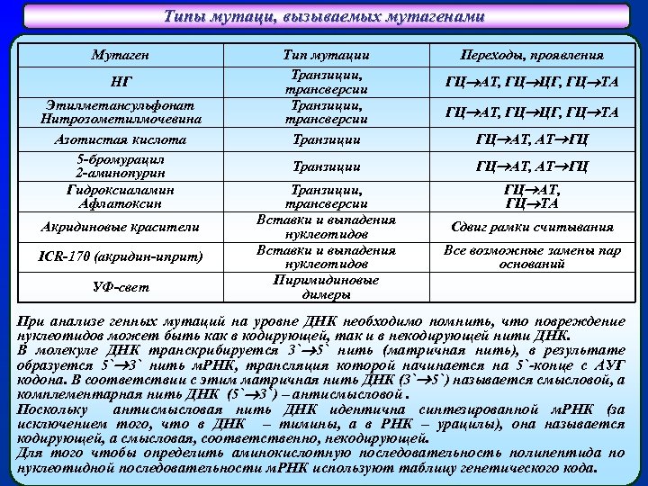 Типы мутаци, вызываемых мутагенами Мутаген НГ Этилметансульфонат Нитрозометилмочевина Азотистая кислота 5 -бромурацил 2 -аминопурин