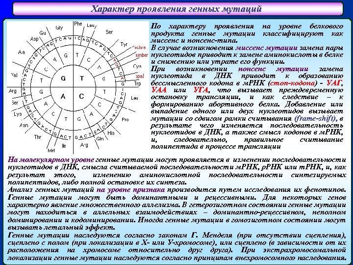 Характер проявления генных мутаций По характеру проявления на уровне белкового продукта генные мутации классифицируют