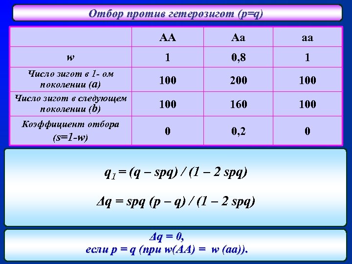 Отбор против гетерозигот (p=q) AA Число зигот в 1 - ом поколении (a) Число