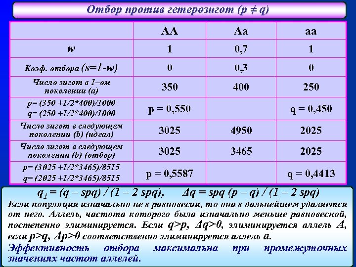 Отбор против гетерозигот (p ≠ q) AA Aa aa w 1 0, 7 1