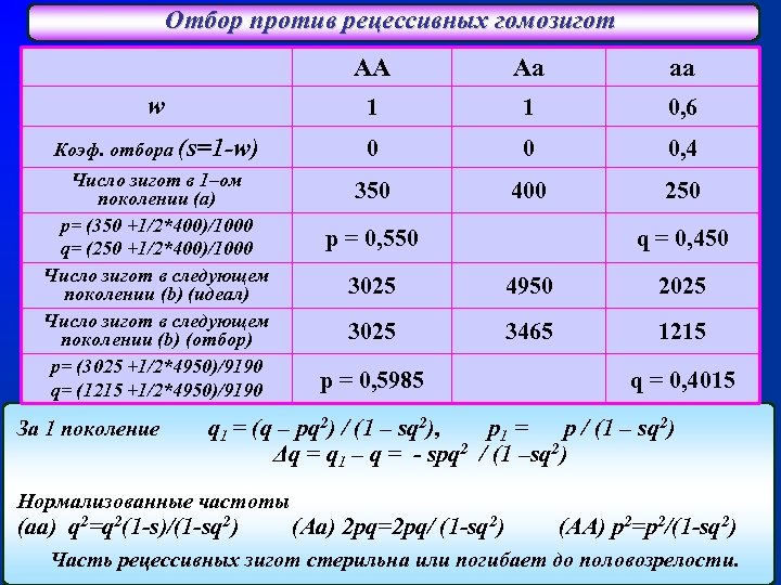 Отбор против рецессивных гомозигот AA Aa aa w 1 1 0, 6 Коэф. отбора