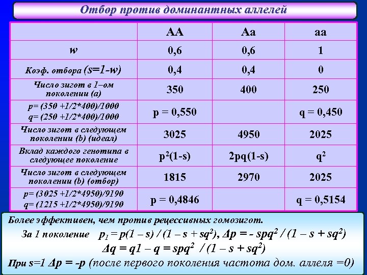 Отбор против доминантных аллелей AA Aa aa w 0, 6 1 Коэф. отбора (s=1