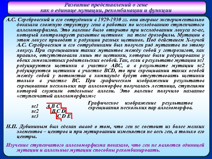 Развитие представлений о гене как о единице мутации, рекомбинации и функции А. С. Серебровский