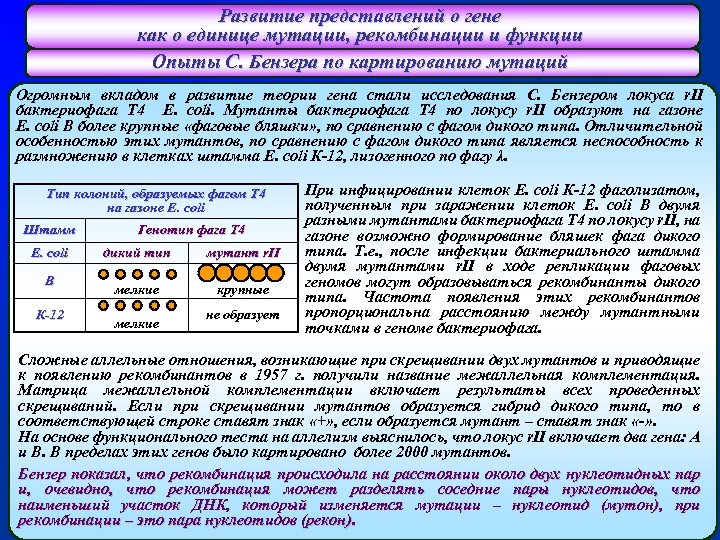 Развитие представлений о гене как о единице мутации, рекомбинации и функции Опыты С. Бензера