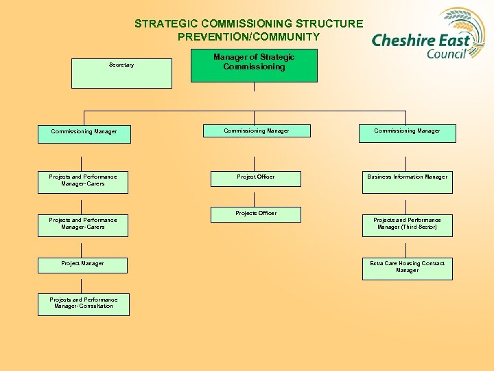 STRATEGIC COMMISSIONING STRUCTURE PREVENTION/COMMUNITY Secretary Manager of Strategic Commissioning Manager Projects and Performance Manager-