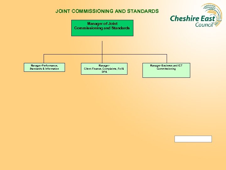 JOINT COMMISSIONING AND STANDARDS Manager of Joint Commissioning and Standards Manager-Performance, Standards & Information