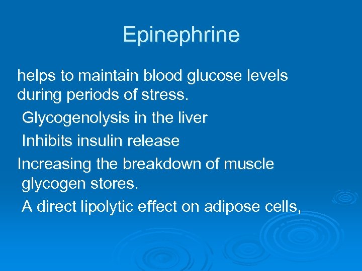 Epinephrine helps to maintain blood glucose levels during periods of stress. Glycogenolysis in the