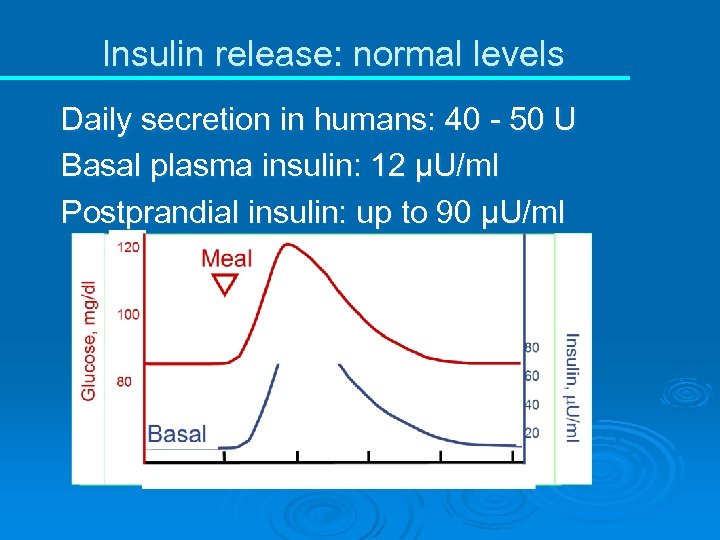 Insulin release: normal levels Daily secretion in humans: 40 - 50 U Basal plasma