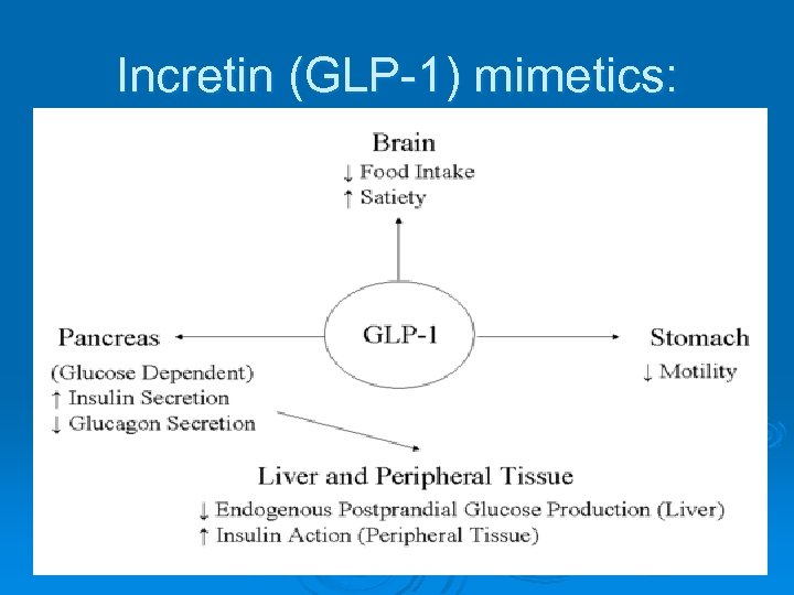 Incretin (GLP-1) mimetics: 