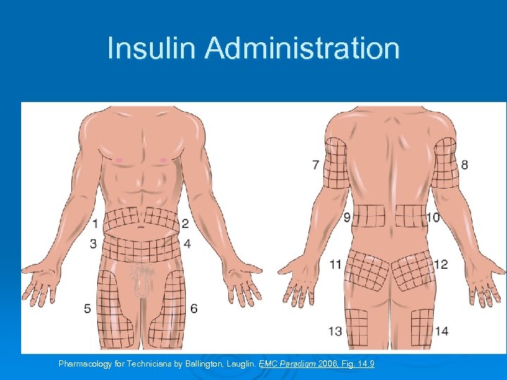 Insulin Administration Pharmacology for Technicians by Ballington, Lauglin. EMC Paradigm 2006, Fig. 14. 9