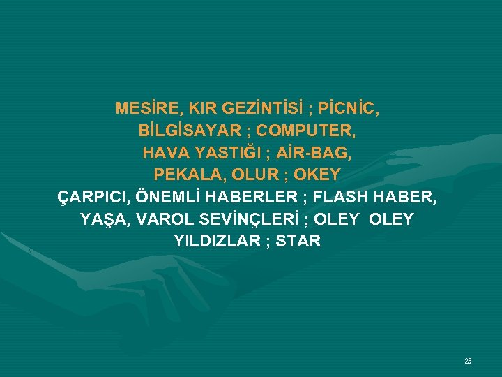 MESİRE, KIR GEZİNTİSİ ; PİCNİC, BİLGİSAYAR ; COMPUTER, HAVA YASTIĞI ; AİR-BAG, PEKALA, OLUR