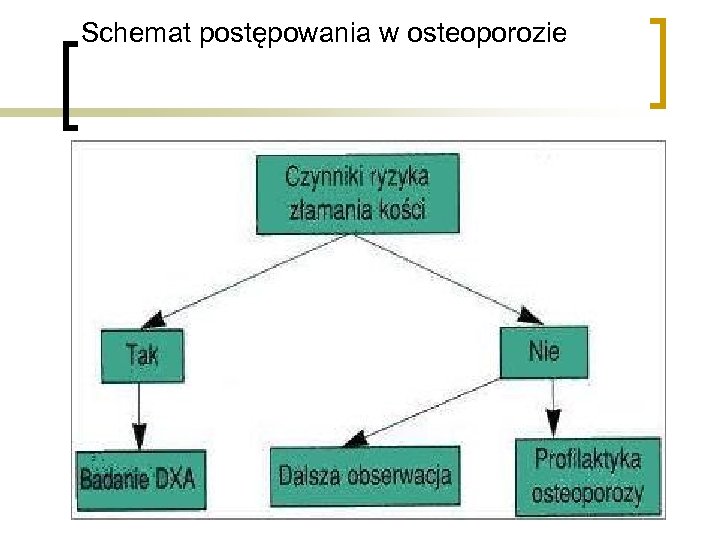 Schemat postępowania w osteoporozie 