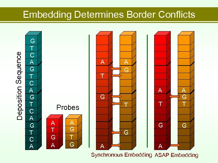 Deposition Sequence Embedding Determines Border Conflicts G T C A A T A G