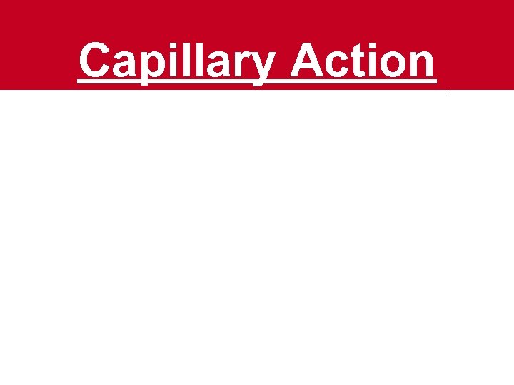 Capillary Action 