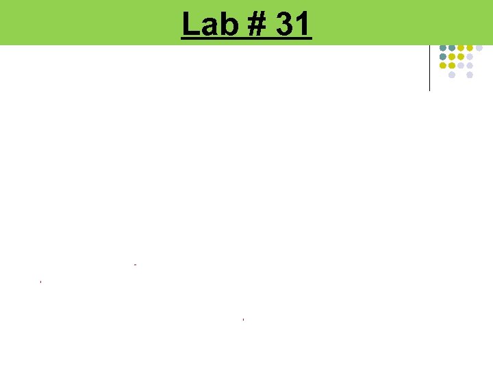 Lab # 31 