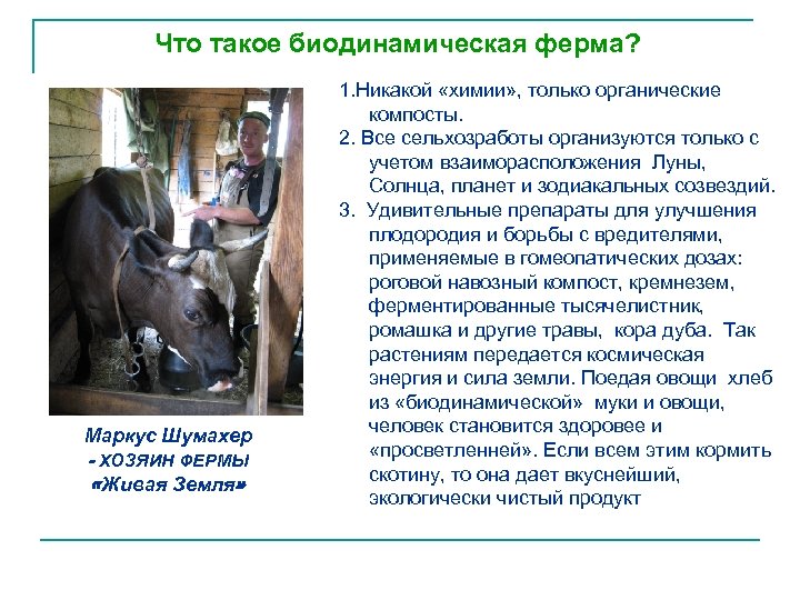 Что такое биодинамическая ферма? Маркус Шумахер - ХОЗЯИН ФЕРМЫ «Живая Земля» 1. Никакой «химии»