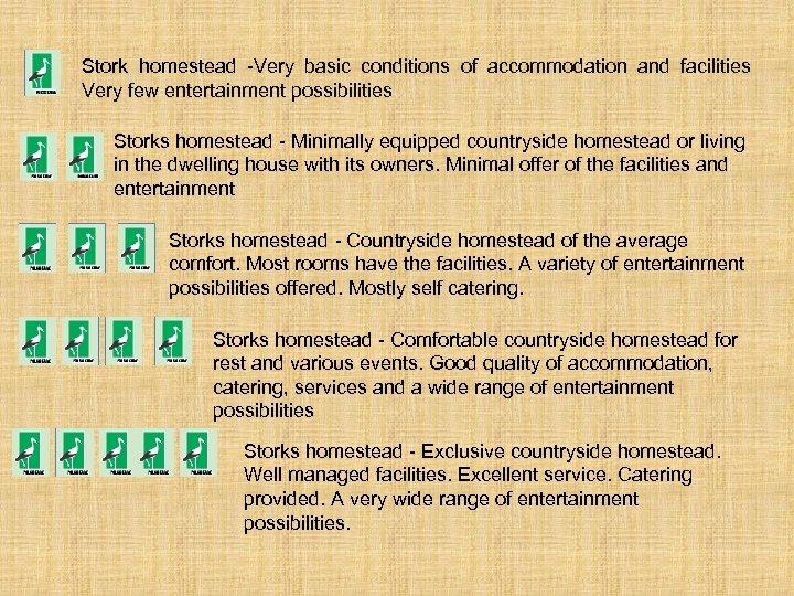 Stork homestead -Very basic conditions of accommodation and facilities Very few entertainment possibilities Storks