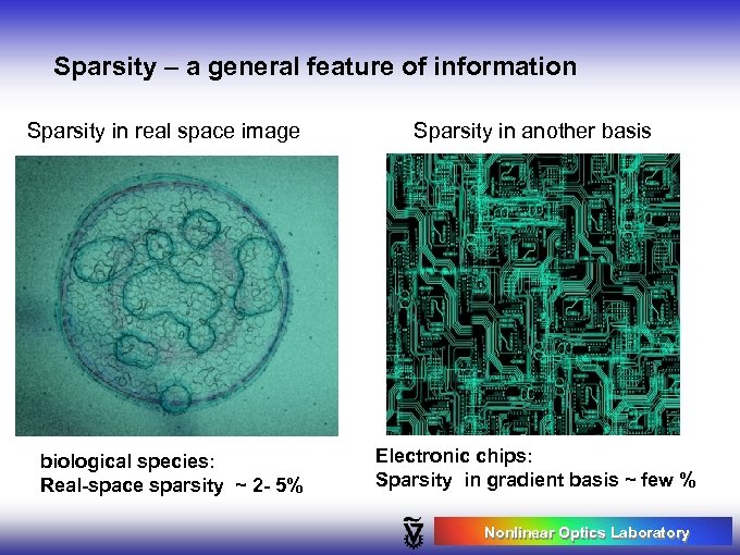 Sparsity – a general feature of information Sparsity in real space image biological species:
