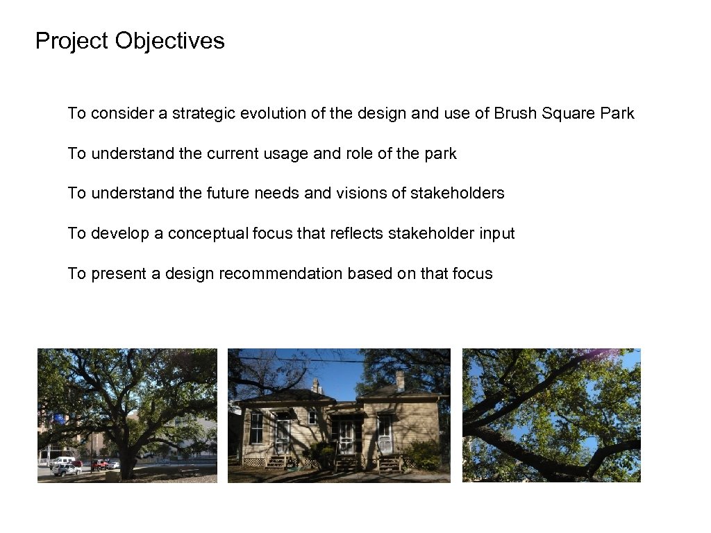 Project Objectives To consider a strategic evolution of the design and use of Brush