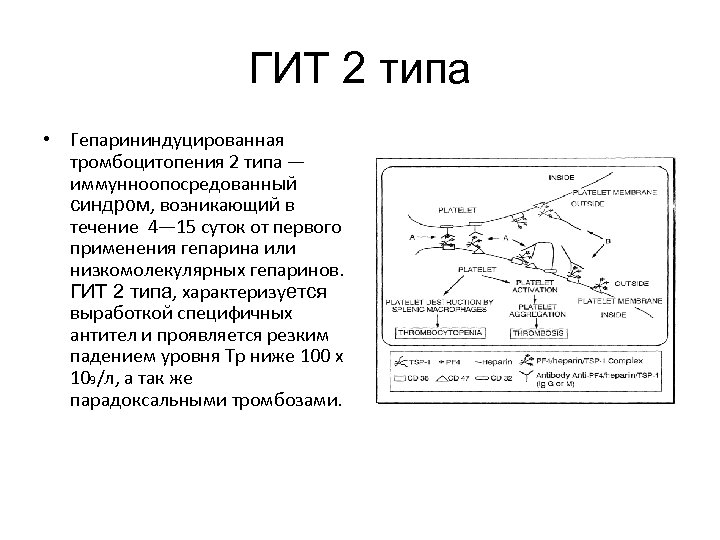 ГИТ 2 типа • Гепарининдуцированная тромбоцитопения 2 типа — иммунноопосредованный синдром, возникающий в течение