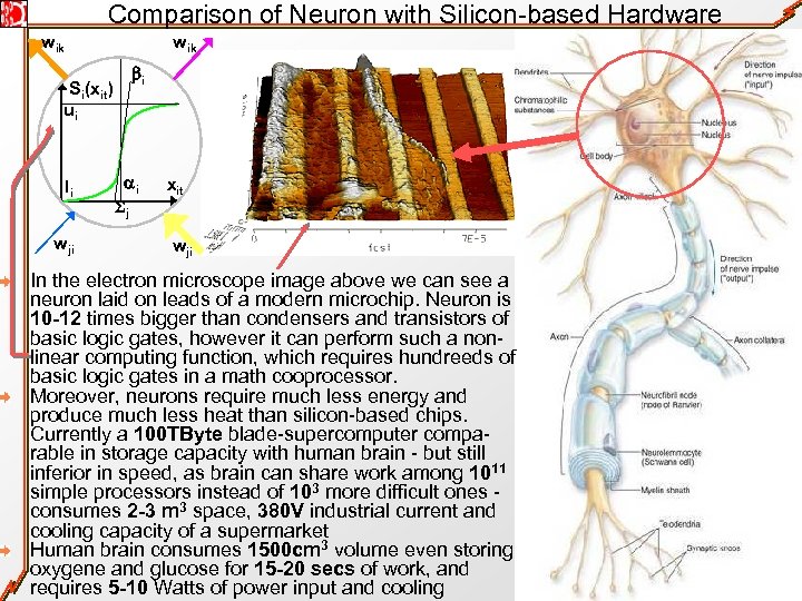 Comparison of Neuron with Silicon-based Hardware wik Si(xit) ui li wji wik bi ai