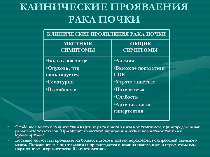 КЛИНИЧЕСКИЕ ПРОЯВЛЕНИЯ РАКА ПОЧКИ МЕСТНЫЕ СИМПТОМЫ • Боль в пояснице • Опухоль, что пальпируется