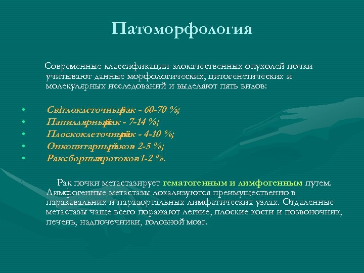 Патоморфология Современные классификации злокачественных опухолей почки учитывают данные морфологических, цитогенетических и молекулярных исследований и