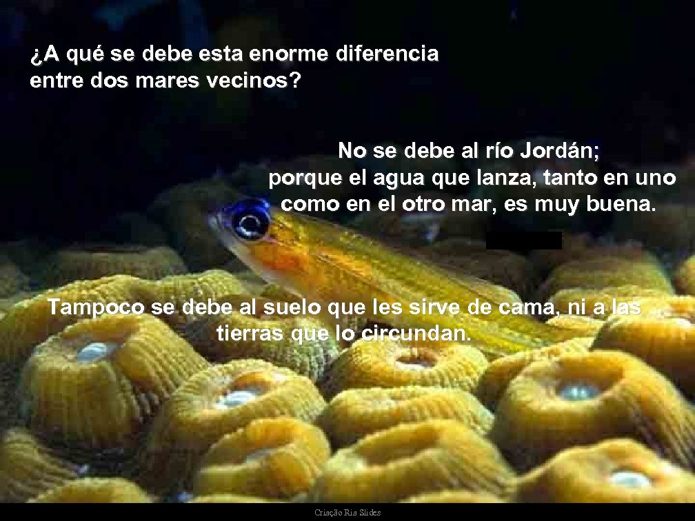 ¿A qué se debe esta enorme diferencia entre dos mares vecinos? No se debe