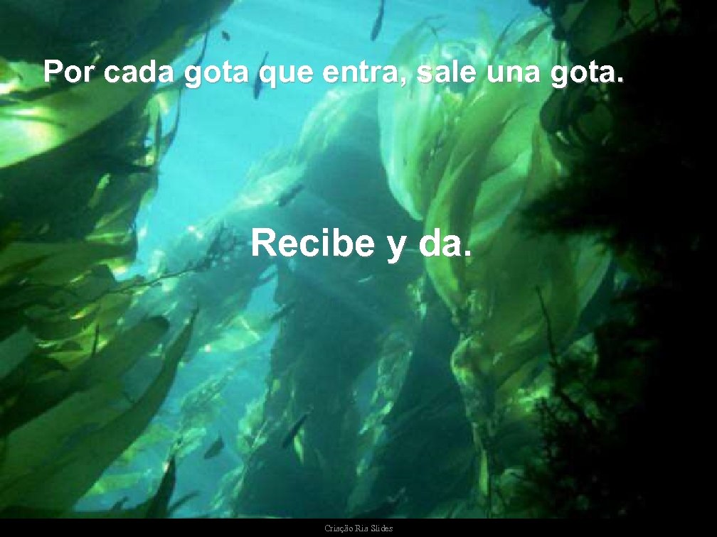 Por cada gota que entra, sale una gota. Recibe y da. Criação Ria Slides