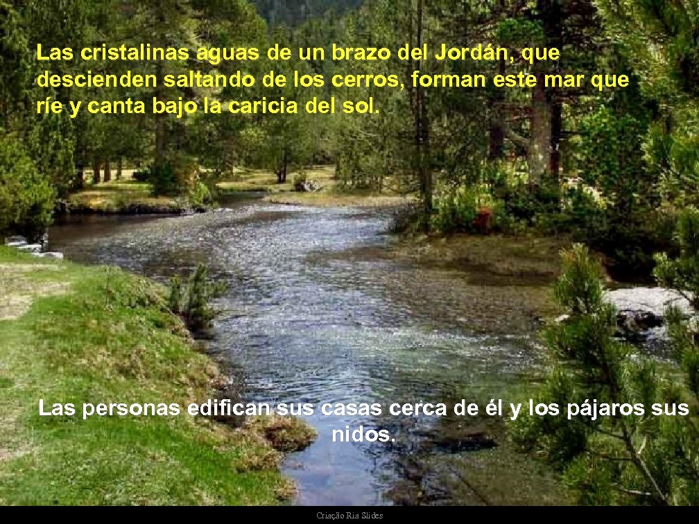 Las cristalinas aguas de un brazo del Jordán, que descienden saltando de los cerros,