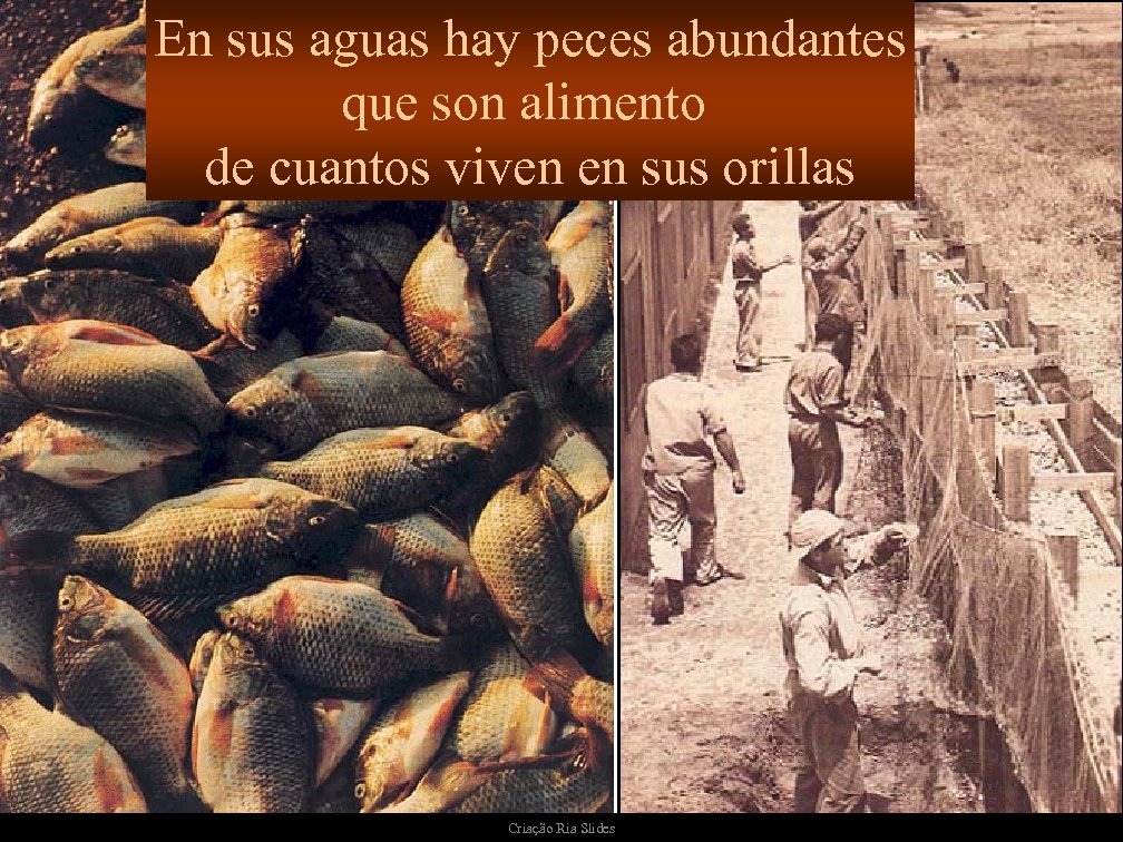 En sus aguas hay peces abundantes que son alimento de cuantos viven en sus