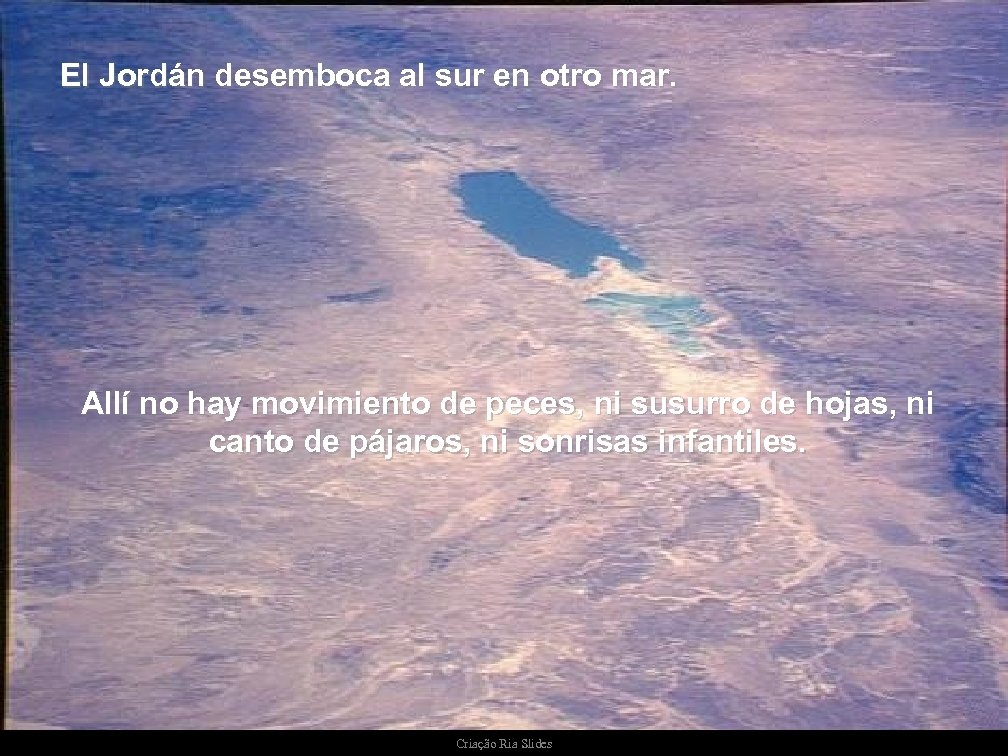 El Jordán desemboca al sur en otro mar. Allí no hay movimiento de peces,